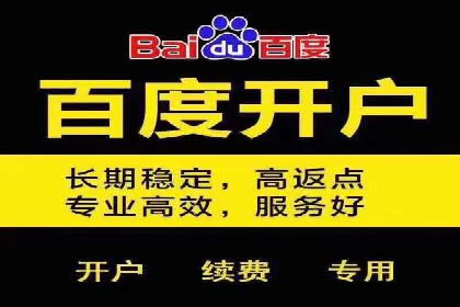 百度优化推广案例研究：如何提高网站转化率